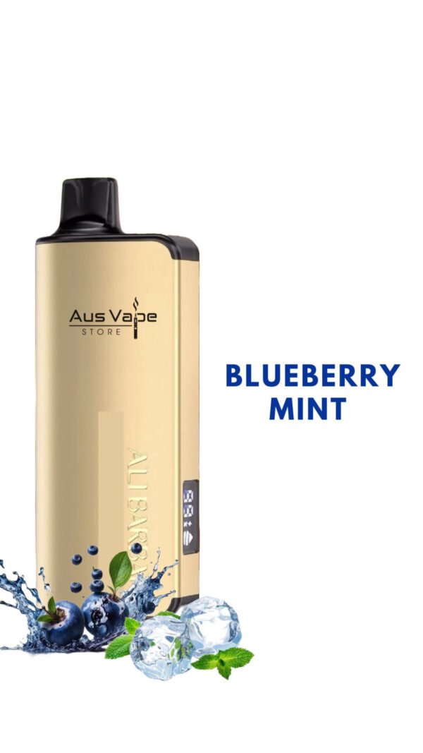 ALIBARBAR INGOT β BLUEBERRY MINT β 9000 PUFFS