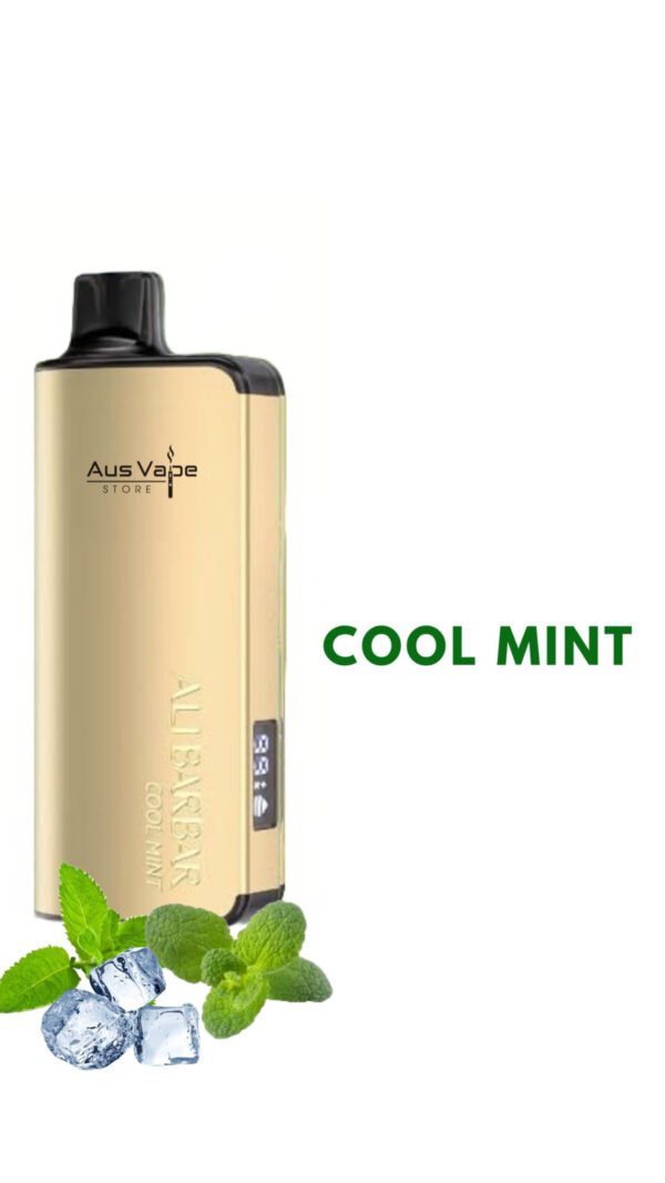 ALIBARBAR INGOT – COOL MINT – 9000 PUFFS
