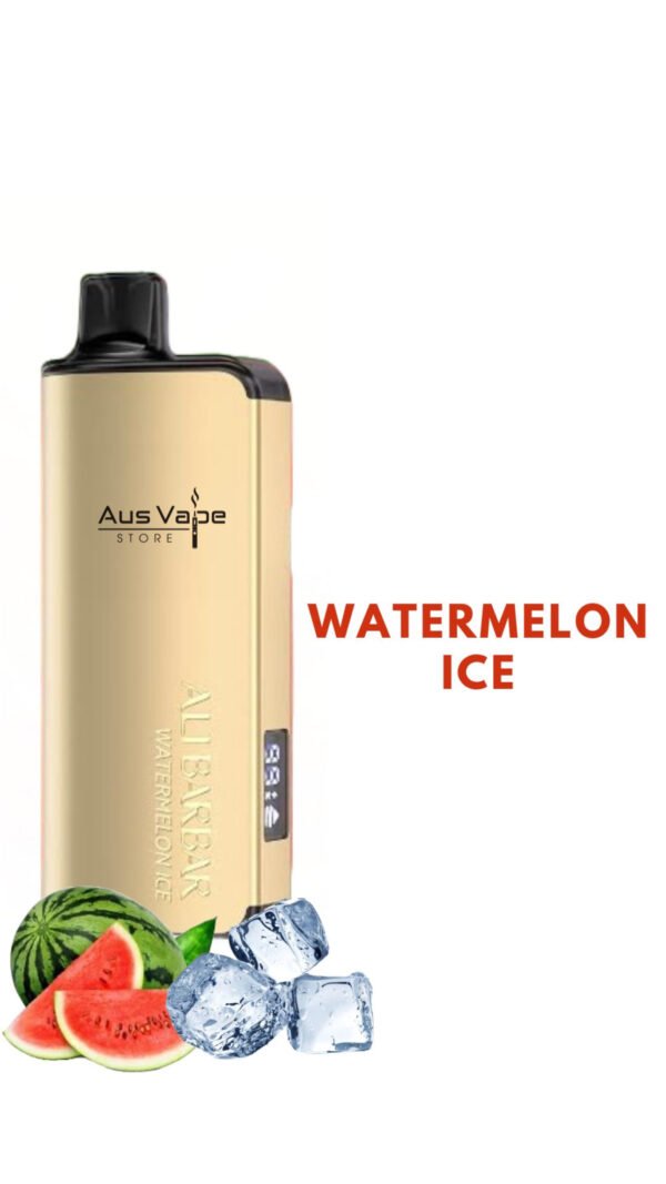 ALIBARBAR INGOT – WATERMELON ICE – 9000 PUFFS