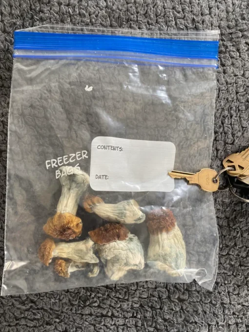 Penis envy mushrooms 1/2 oz - Image 2
