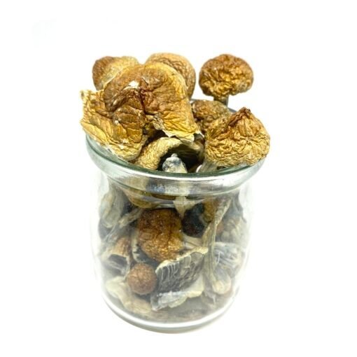 Blue Meanies Mushrooms 1/2 oz