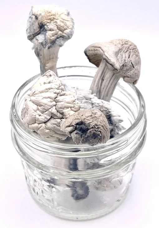 Albino Penis Envy (APE) 1/2 oz - Image 2