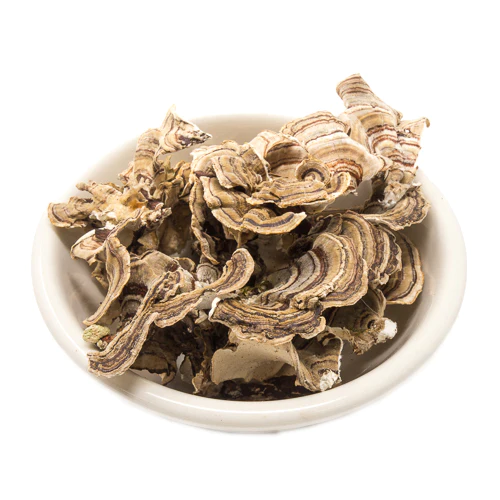 Medicinal Mushrooms 1/2 oz