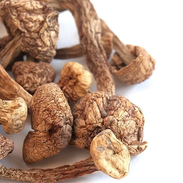 Brazilian Magic Mushrooms 1/2 oz
