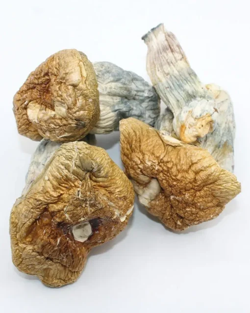 Melmac PE Magic Mushroom 1/2 oz