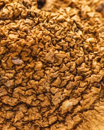 African Aphrodisiac – Cannakiss 1/2 oz