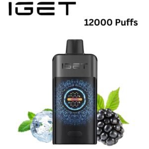IGET ONE - BLACK FOREST - 12000 PUFFS