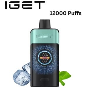 IGET ONE - MOUNTANT SPRING MINT ICE - 12000 PUFFS