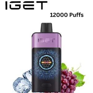 IGET ONE - GRAPE ICE - 12000 PUFFS