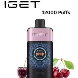 IGET ONE - CHERRY POMEGRANATE - 12000 PUFFS