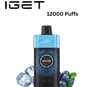 IGET ONE - BLUEBERRY ICE - 12000 PUFFS