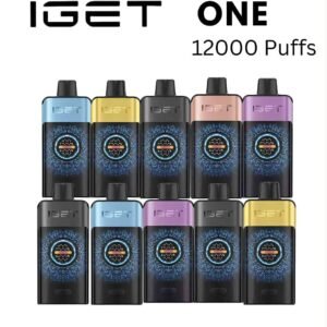 BULK 10 PCS - IGET ONE 12000 PUFFS - CAN MIX FLAVOURS
